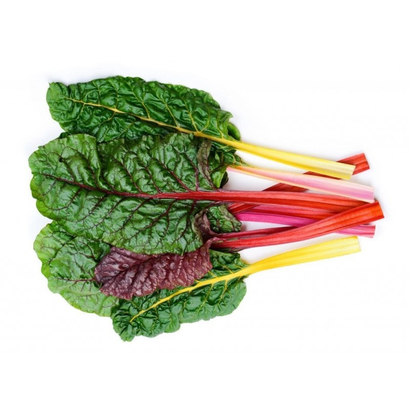 Chard Multicoloured