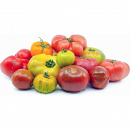 Tomato Heirloom Mixed