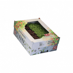 Ghoa Cress® - Koppert Cress