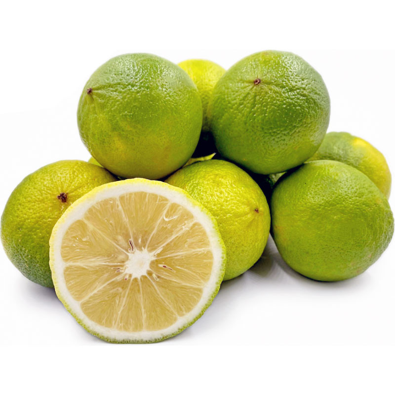 Bergamot Bergamot