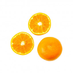 Navel orange
