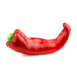 Jalapeno Pepper Red