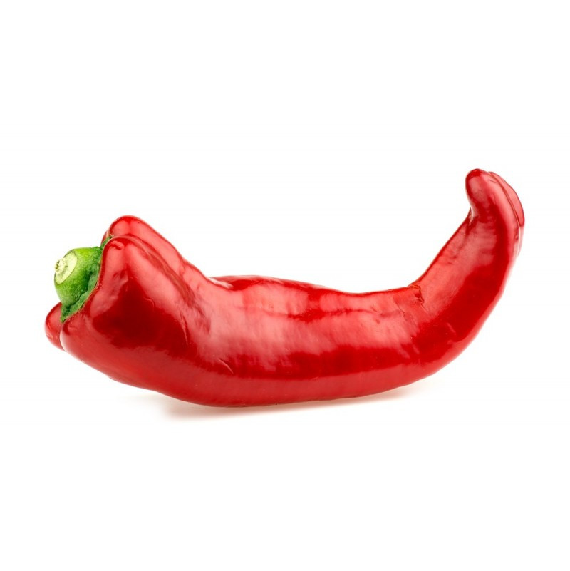 Jalapeno Pepper Red