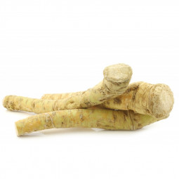 Horseradish