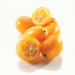 Kumquat