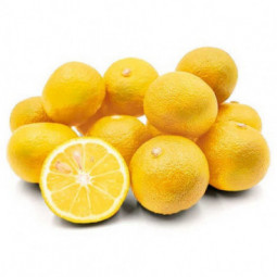 Citrus sudachi