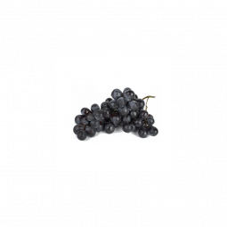 Muscat Grape