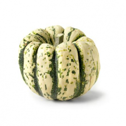 Patidou Pumpkin