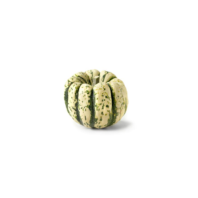 Patidou Pumpkin