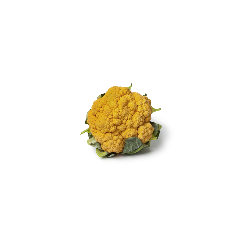 Cauliflower Yellow