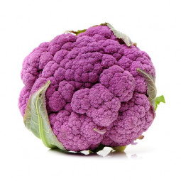 Cauliflower Purple