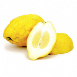 cedra citrus