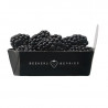 Blackberry - Beekers Berries