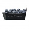 Blueberries - Beekers Berries