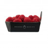 Strasberry - Beekers Berries