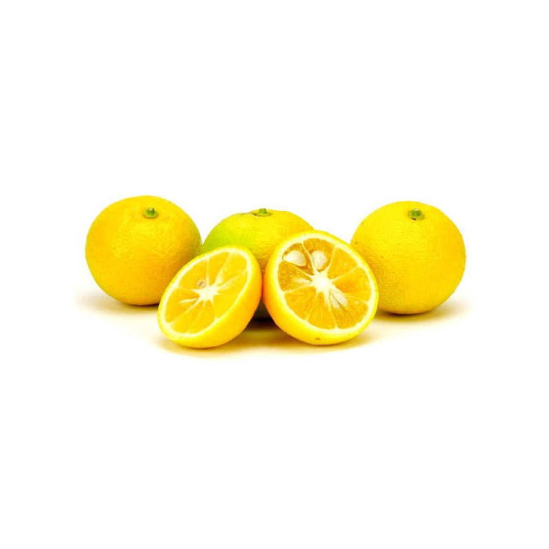 Citrus Kabosu