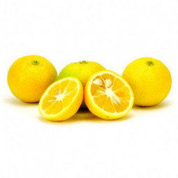 Citrus Kabosu