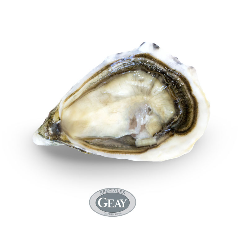 Speciales de Claire - GEAY Speciales de Claire - GEAY