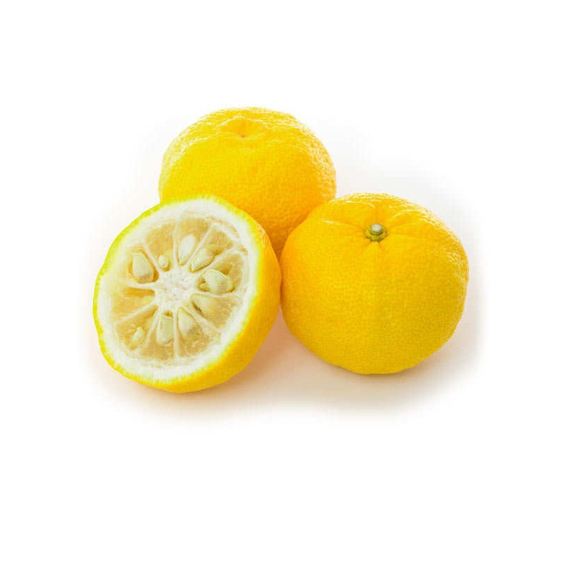Yuzu Yuzu