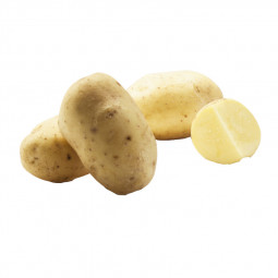 Potato Agria
