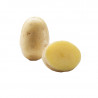 Potato Agata, Bayard