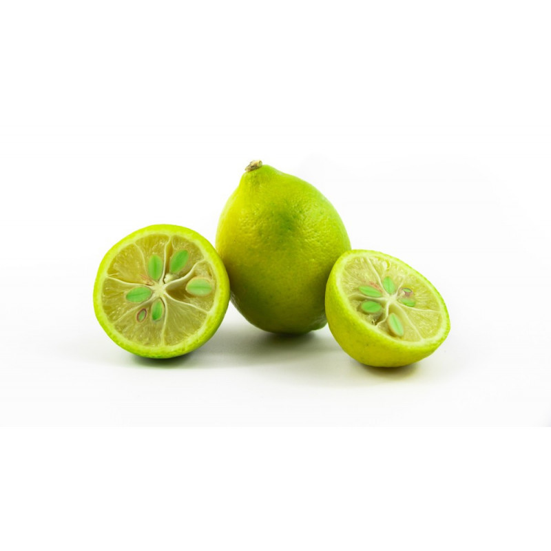 Limequat