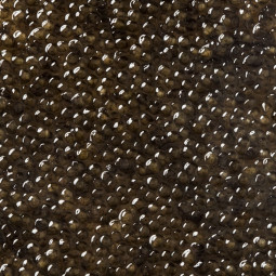 grains de Caviar Baeri Royal