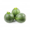 Green Round Zucchini
