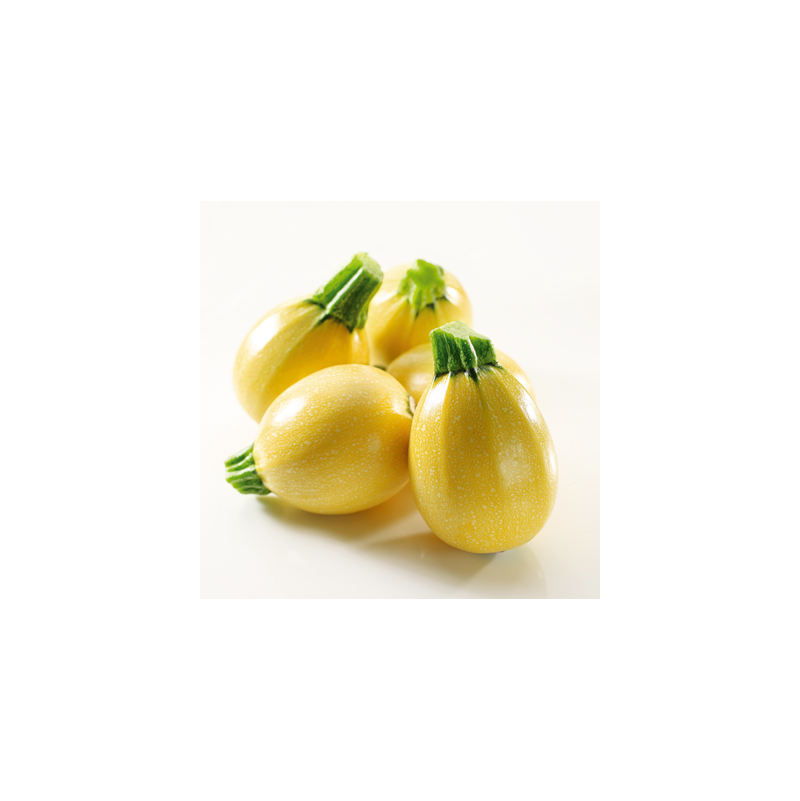 Zucchini Yellow Round