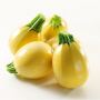 Zucchini Yellow Round