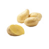 Potato Andean Sunside, Bayard