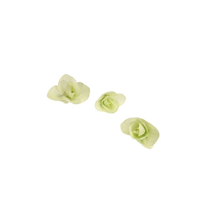 Floregano Cress Floregano Cress