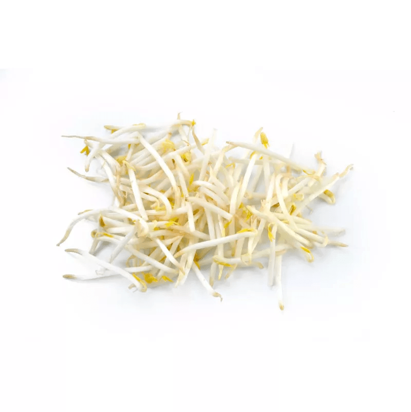 Soy Bean Sprouts