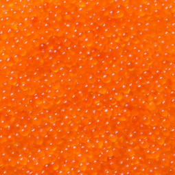 Orange Tobiko grains