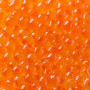 Wild Salmon Roe