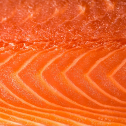 Slice of Smoked Salmon from Scotland