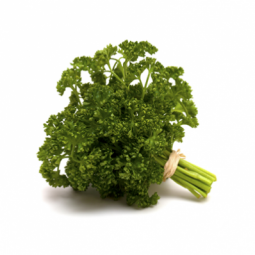 Curly Parsley