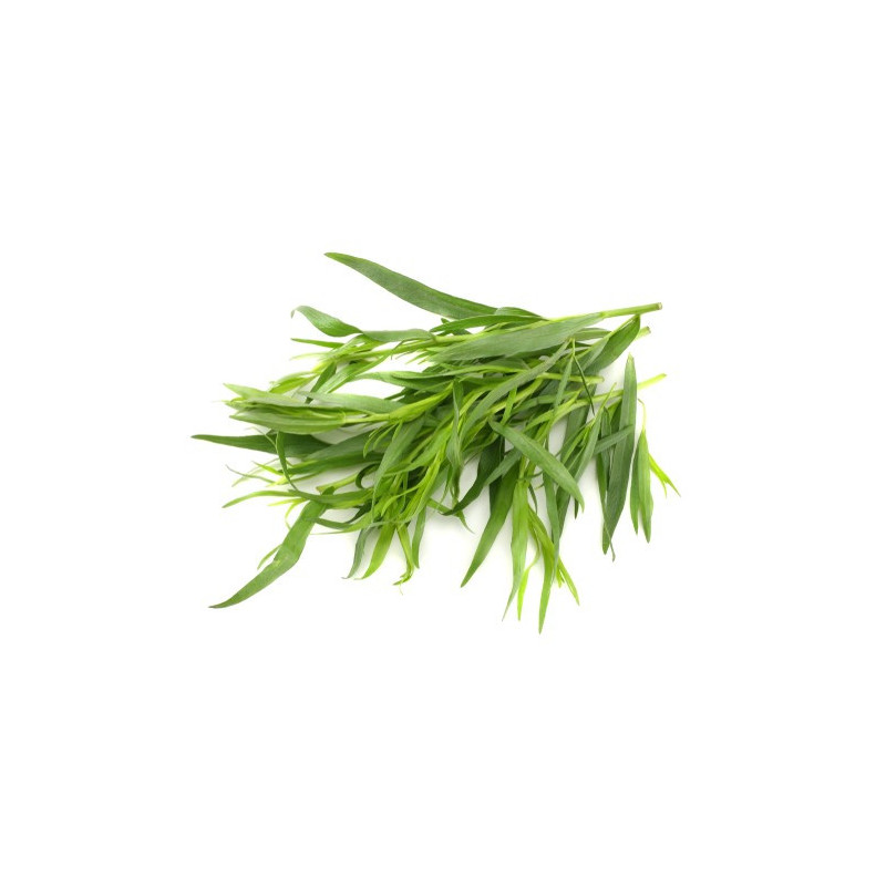 Tarragon