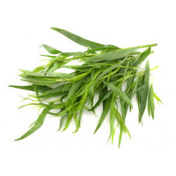 Tarragon