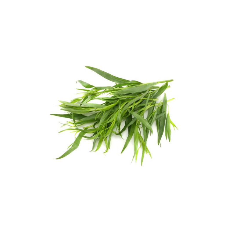 Tarragon