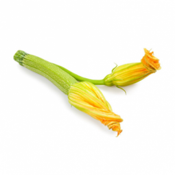 Zucchini With Flower