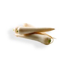 Navet Blanc Marteau