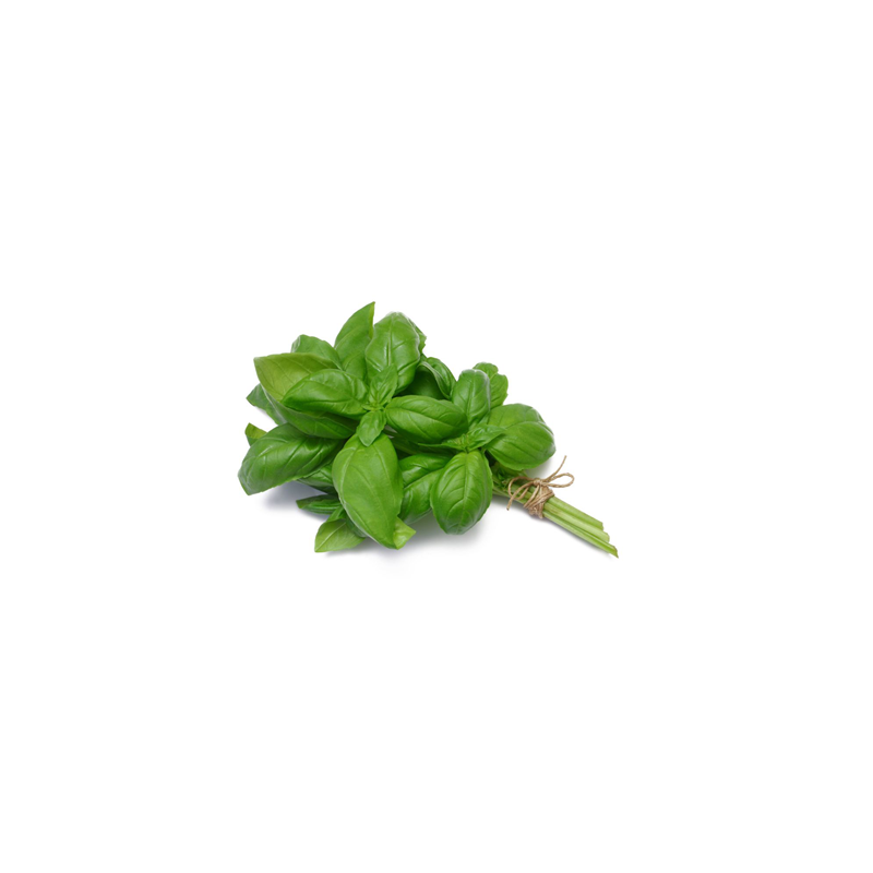 Basil