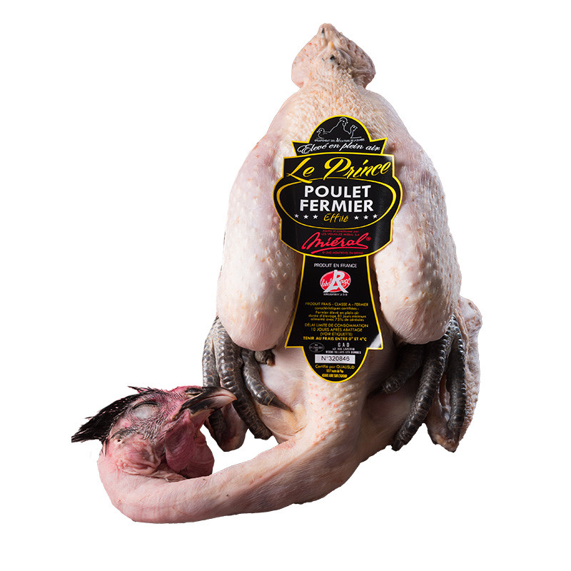 Chicken Black Legs Effileted Chicken Black Legs Effileted