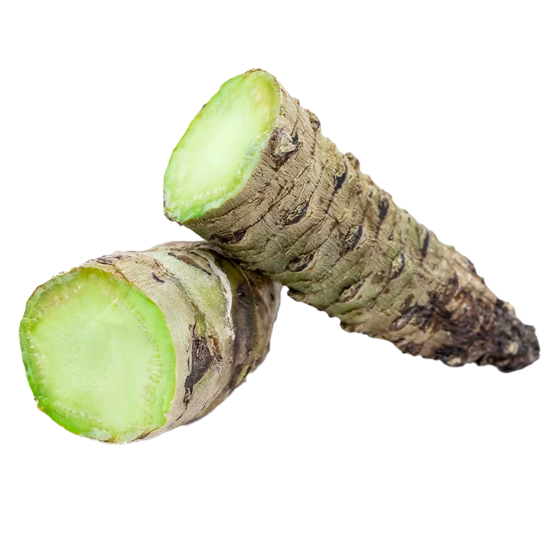 Wasabi Wasabi