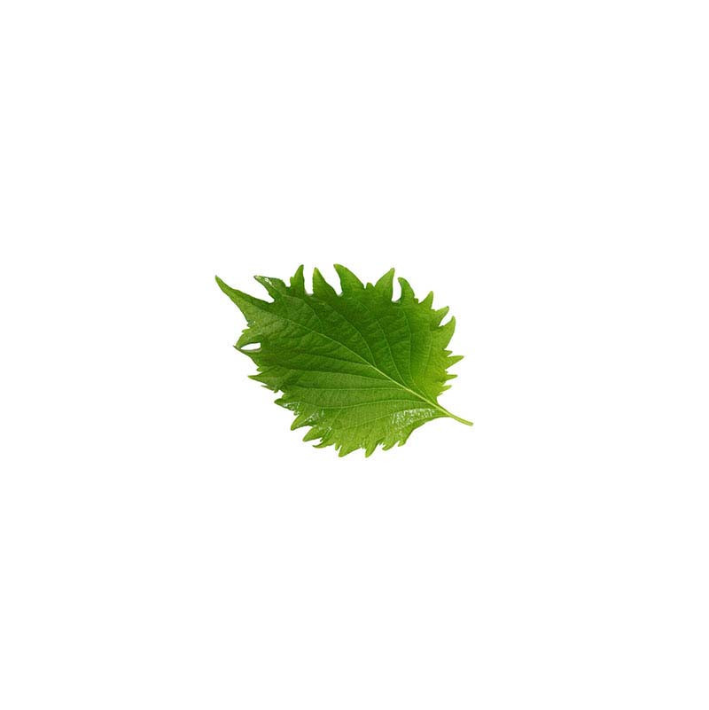 Shiso Leaves Green Cress