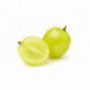 Seedless white grapes
