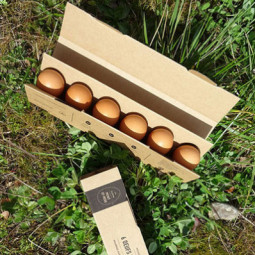 Organic Free Range Eggs Rule