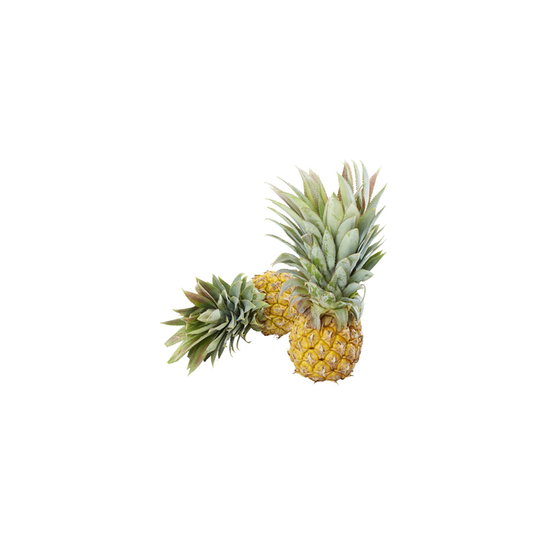 Victoria pineapple