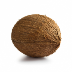 Coconut